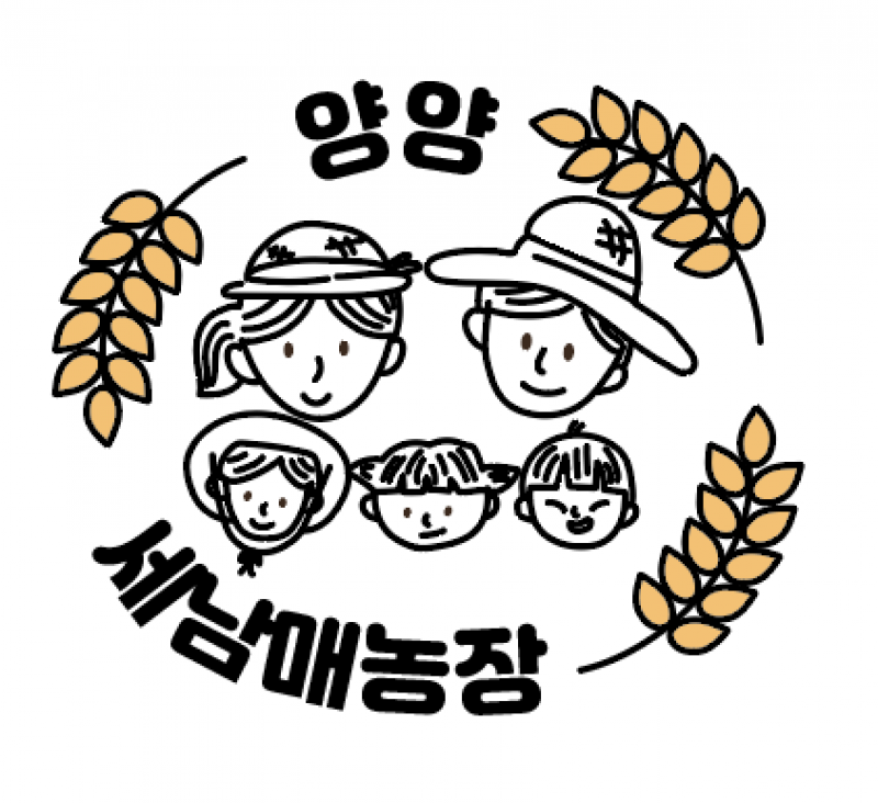 상운유통(양양세남매농장),25년 햇감자 7월5,6일 수확예정/양양세남매농장 강원도  두백 햇감자 5kg,10kg,20kg